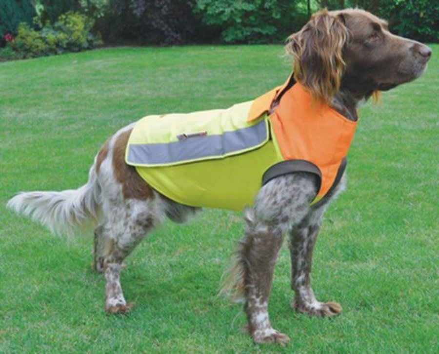 Tipps für die Drückjagd – Ausrüstung für die Bewegungsjagd Jagdhund mit Hundeschutzweste Hubertus für die Drückjagd