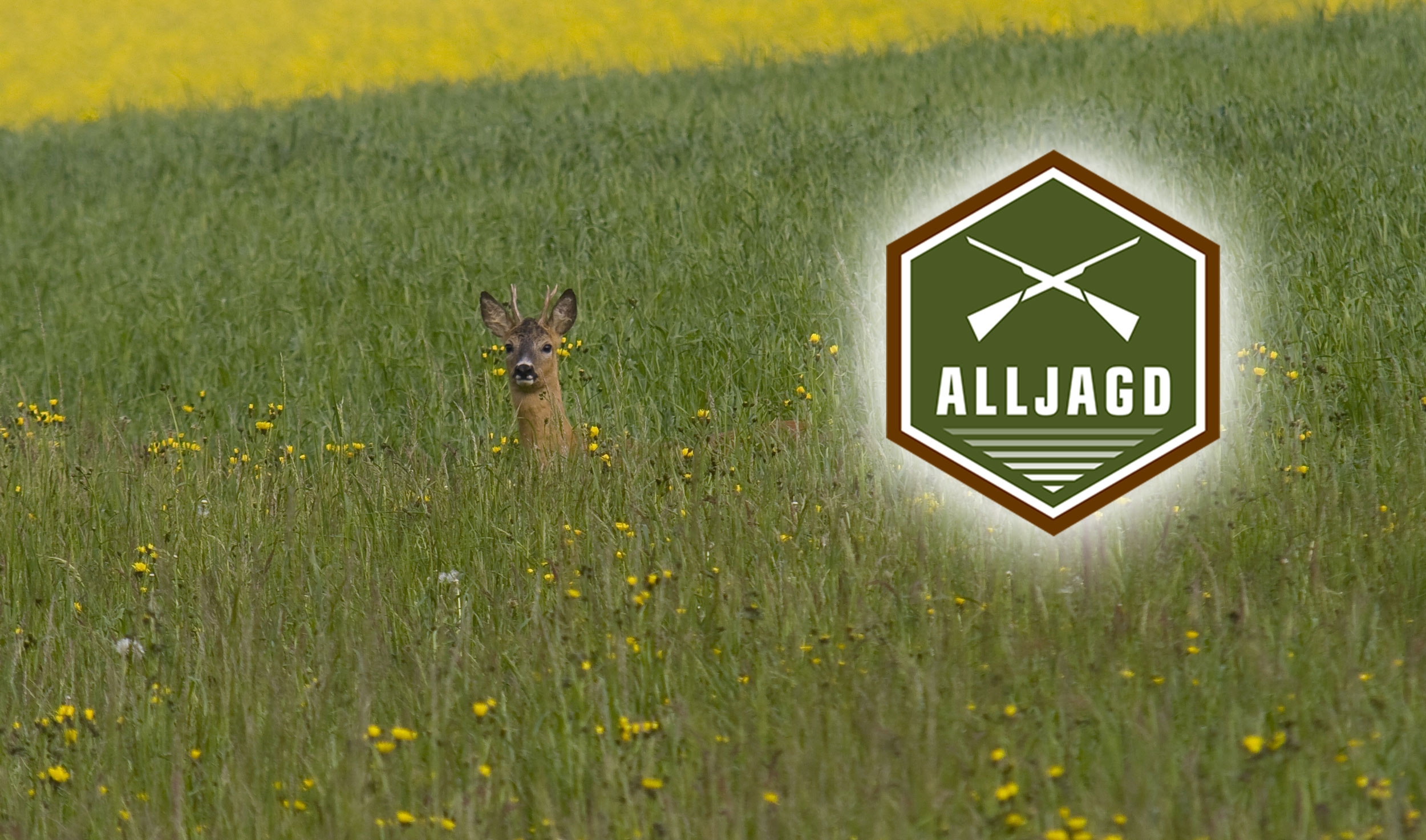 ALLJAGD: Angebote "Frühjahr / Sommer 2019" − hier können Sie jetzt noch richtig sparen
