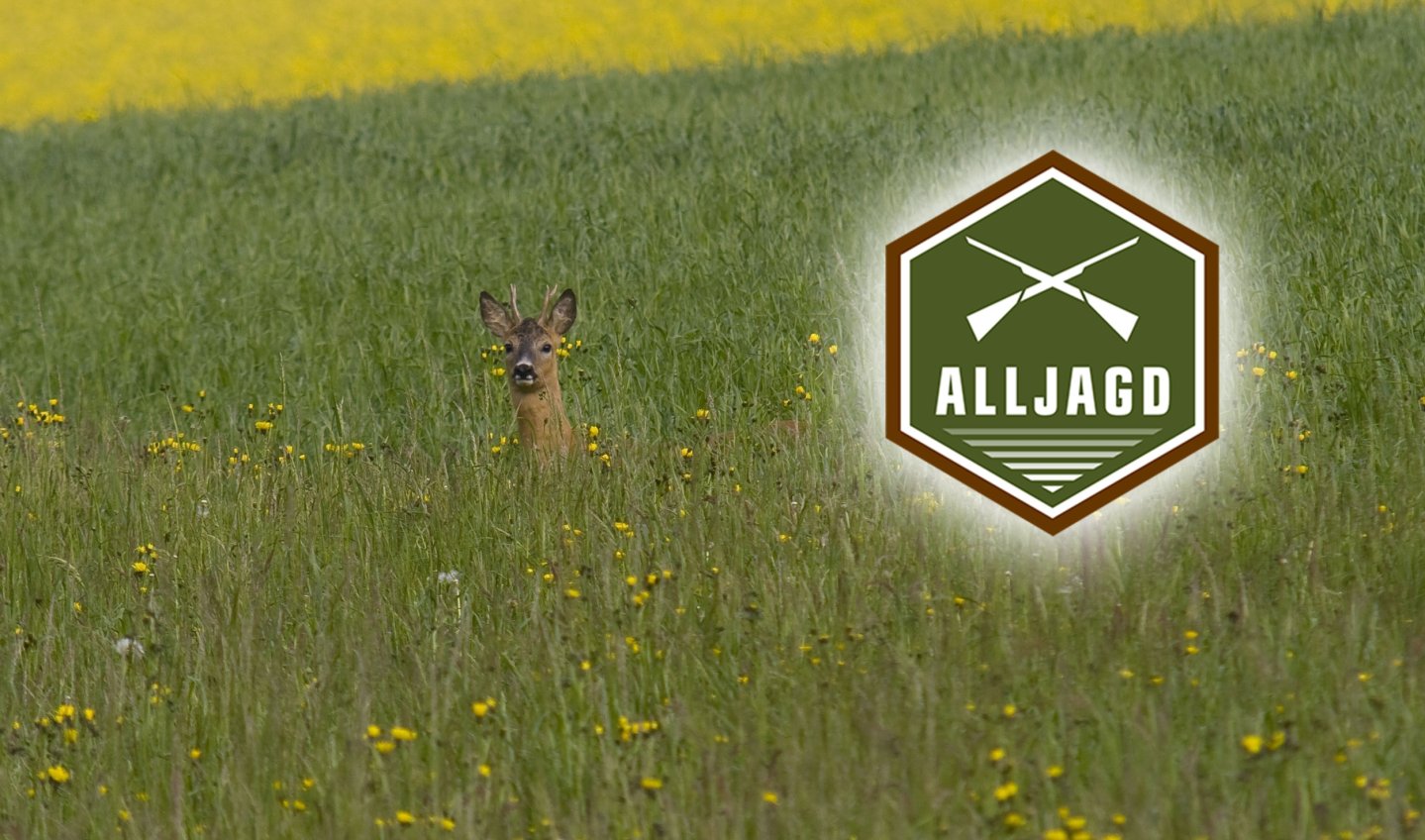 ALLJAGD: Angebote "Frühjahr / Sommer 2019" – ab sofort erhältlich
