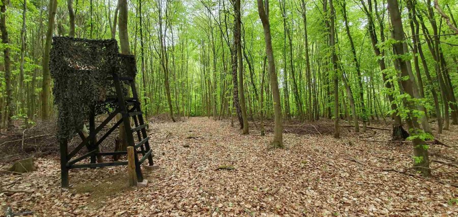 Drückjagd- und Ansitzböcke bauen mit Hunting Felix Ansitzbock in einem Waldrevier.