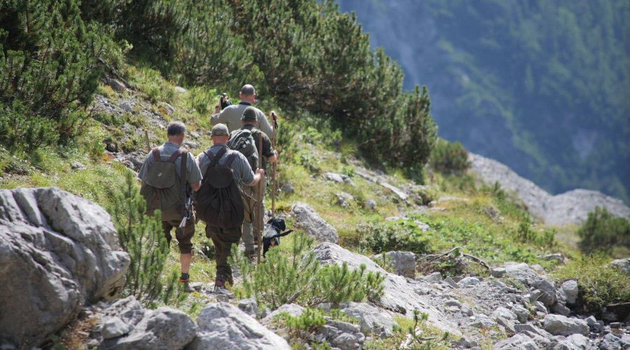 Die erste Gams vergisst man nicht – aktive Bergjagd in Tirol auf Murmel- und Gamswild