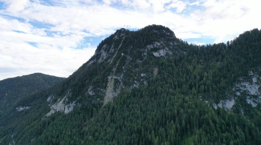 Die erste Gams vergisst man nicht – Aktive Bergjagd in Tirol auf Murmel- und Gamswild