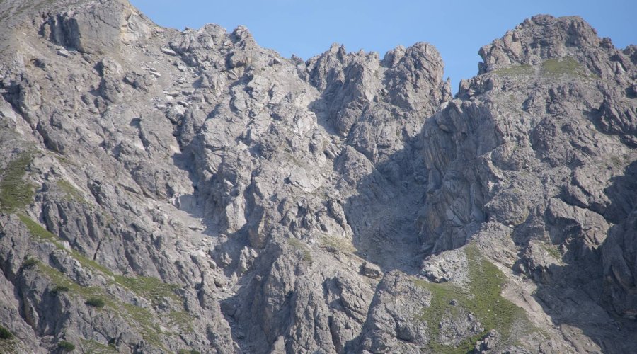Die erste Gams vergisst man nicht – aktive Bergjagd in Tirol auf Murmel- und Gamswild