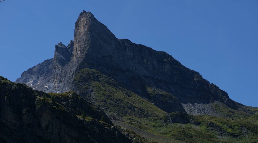 Die erste Gams vergisst man nicht – aktive Bergjagd in Tirol auf Murmel- und Gamswild