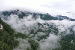 Die erste Gams vergisst man nicht – aktive Bergjagd in Tirol auf Murmel- und Gamswild Die erste Gams vergisst man nicht – aktive Bergjagd in Tirol auf Murmel- und Gamswild