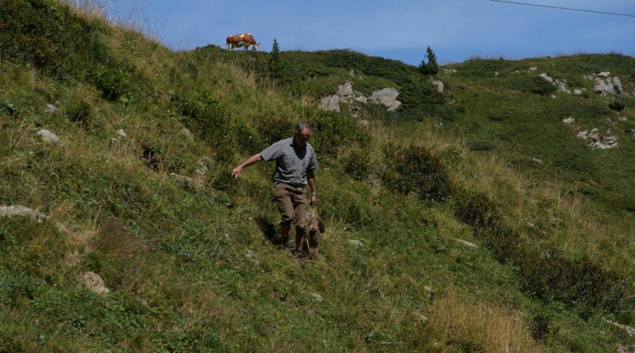 Die erste Gams vergisst man nicht – aktive Bergjagd in Tirol auf Murmel- und Gamswild