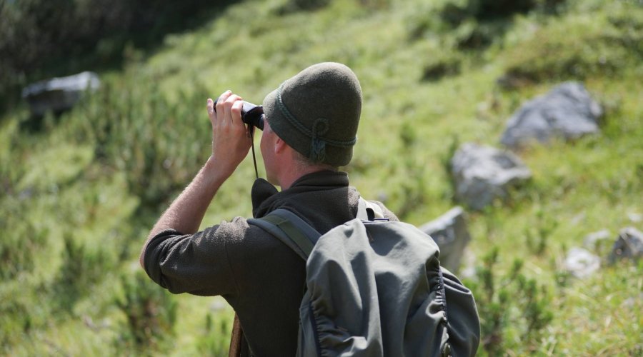 Die erste Gams vergisst man nicht – aktive Bergjagd in Tirol auf Murmel- und Gamswild