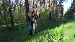 Jagdausbildung in der Praxis: Jungjäger auf Bockjagd in Neuruppin Ein Jäger schreitet durch das Revier.