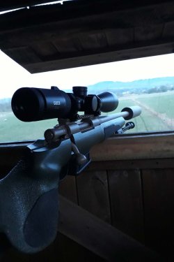 Bockjagd im Mai: Jagdauftakt – Endlich geht es wieder los GECO Gold Zielfernrohr auf Repetierüchse montiert bei der Ansitzjagd auf Rehbock