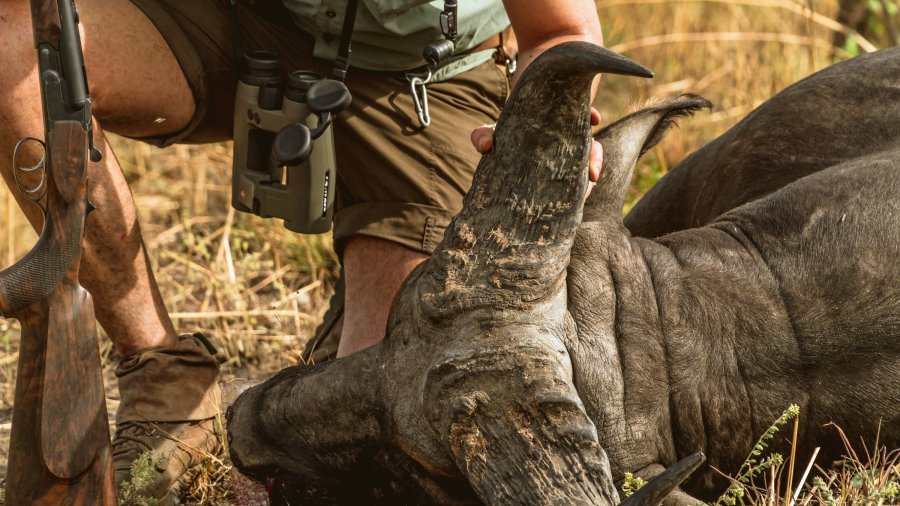 Video: Jagd auf westafrikanische Savannen-Büffel mit der Krieghoff Doppelbüchse 20180227-DSC09301_web-min.jpg