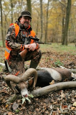 Drückjagd in der privaten Forstverwaltung Flechtingen – Erkenntnisse eines Events in Sachsen-Anhalt Jäger mit totem Mufflon