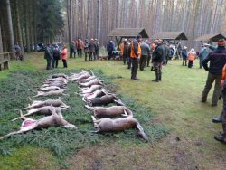 Drückjagd im November mit all4hunters und K&K Premium Jagd Jäger mit Wild, das sie auf der Drückjagd erlegt haben