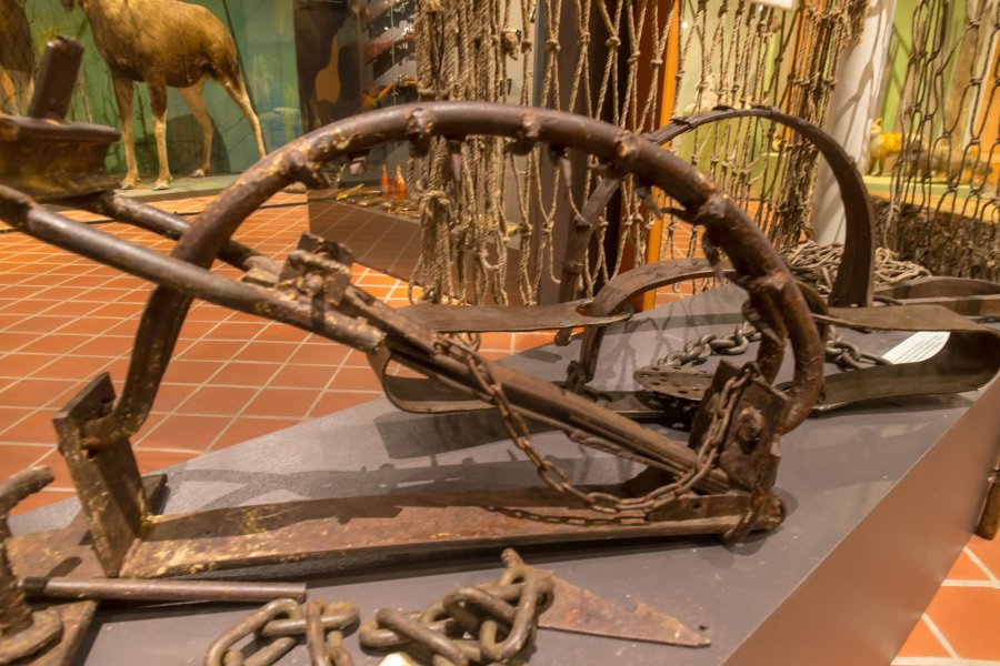 Kulturerbe Jagd: Das finnische Jagdmuseum in Riihimäki Historische Bärenfalle im Museum