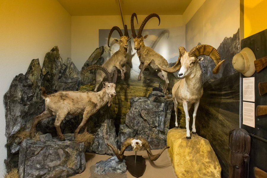 Kulturerbe Jagd: Das finnische Jagdmuseum in Riihimäki Steinwild im finnischen Jagdmuseum