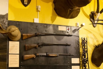 Kulturerbe Jagd: Das finnische Jagdmuseum in Riihimäki Waffenvitrine mit Nashorntrophäe