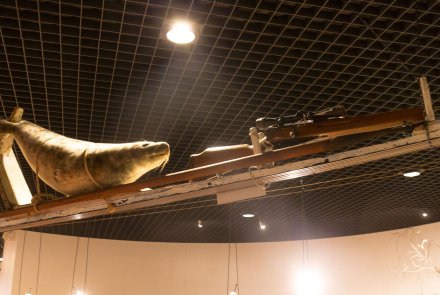 Kulturerbe Jagd: Das finnische Jagdmuseum in Riihimäki Schlitten mit Gewehr und Robbe
