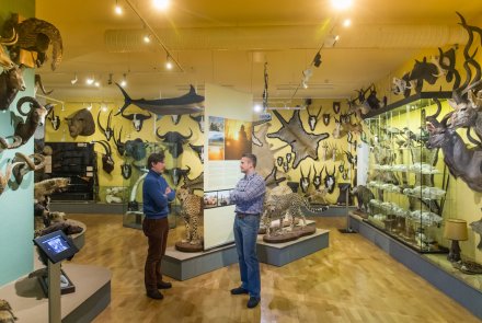 Kulturerbe Jagd: Das finnische Jagdmuseum in Riihimäki In der Trophäensammlung des finnischen Jagdmuseums