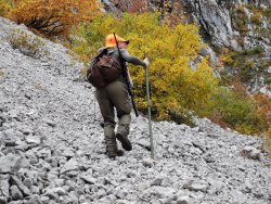 Gamsjagd in Frankreich – Bergjagd extrem Aufstieg am Berg über Geröll.