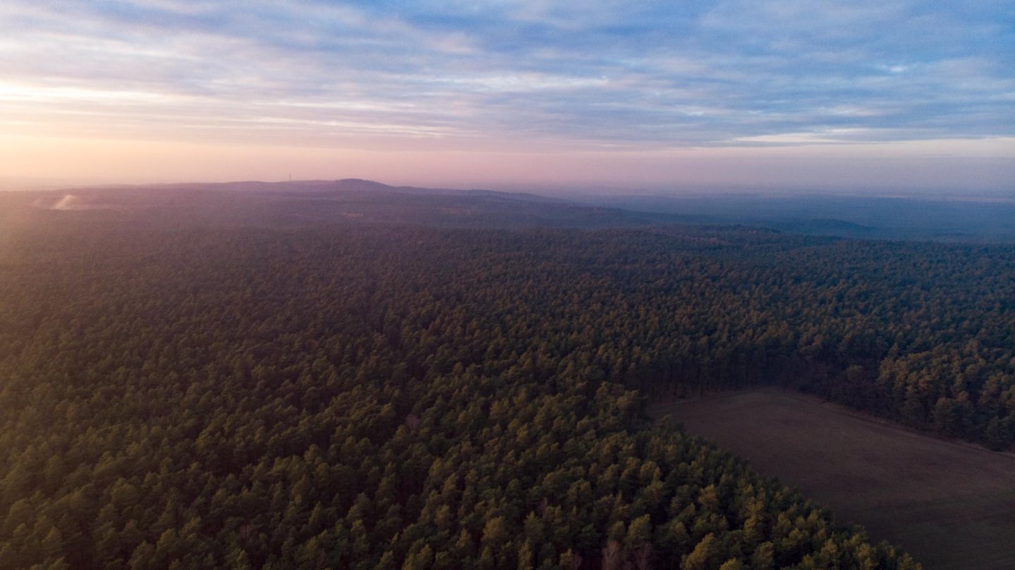 Hege im Revier: Interview mit Dieter Mennekes Das Naturschutzgebiet Heidehof-Golmberg liegt südlich von Berlin.