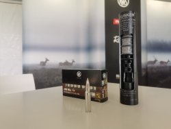 RWS Short Rifle Patrone und HAUSKEN JD224.