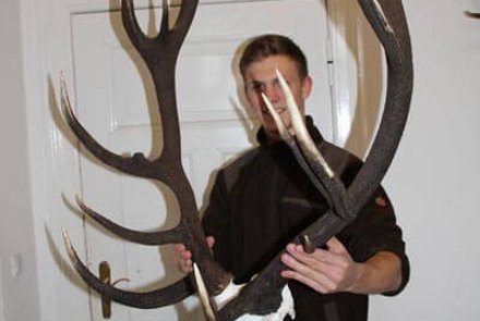 Jagd auf einen reifen Rothirsch mit den Hunter Brothers Trophäe eines Rothirsches