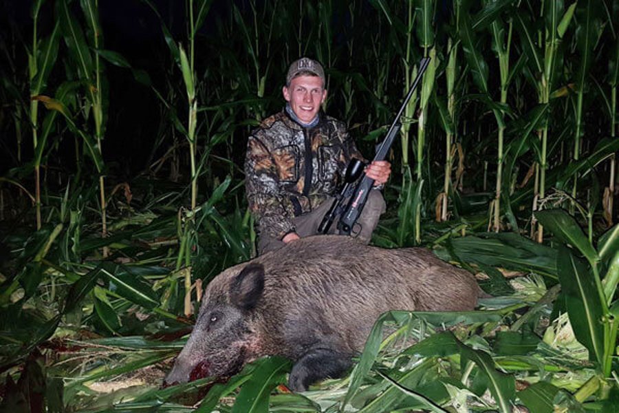 Sauenjagd im Maisfeld mit den Hunter Brothers Jagderfolg im Maisfeld