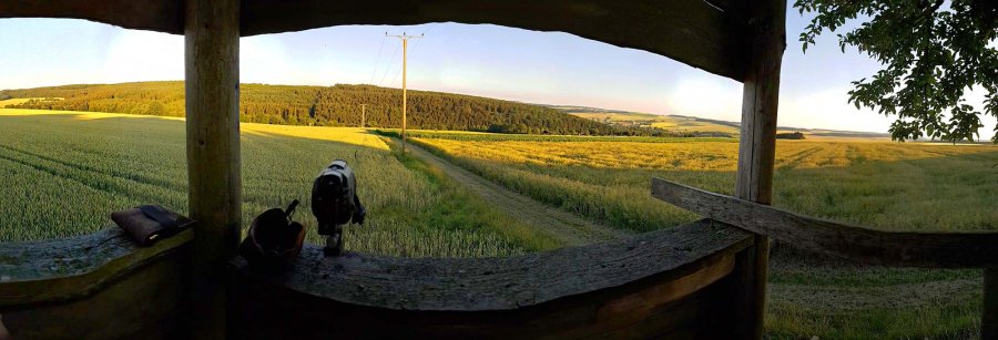 Berauschende Aussicht vom Ansitz Berauschende Aussicht vom Ansitz bei bestem Sommerwetter.