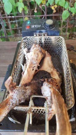Express-Methode: Bocktrophäen abkochen mit Hunting Felix Hunting-Felix-Bockjagd-Trophaeen-abkochen-Fritteuse-kocht-2-Schaedel.jpg