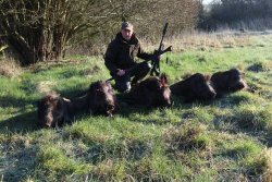 Das Jagd-Team Nordschleswig im Interview: Diese Jäger sind für Sie im Testeinsatz − auch auf all4hunters.com Malte Breckling mit 5 erlegten Wildschweinen