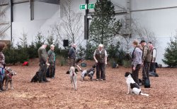 JAGD & HUND Hundefuehrer JAGD & HUND Hundefuehrer