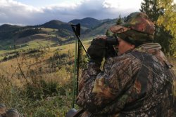 Jagdbericht und Video: Rotwildjagd in den Karpaten – Bergjagd extrem Jagdbericht und Video: Rotwildjagd in den Karpaten – Bergjagd extrem