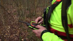 Jagdhunde im Einsatz: Worauf kommt es bei der Hundearbeit an? Hundeführer bedient Handgerät eines GPS Hundeortungsgeräts