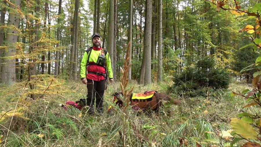 Jagdhunde im Einsatz: Worauf kommt es bei der Hundearbeit an? Hundeführer mit Hundemeute im jagdlichen Einsatz