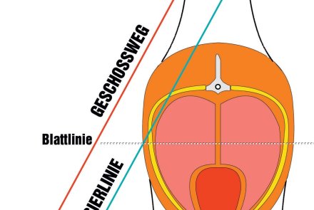 Long Range jagdlich − was ballistisch zu beachten ist Grafischer Vergleich von Geschoss- und Visierlinie Anhand einer Gams, Bergauf