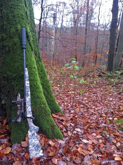 Mecklenburg-Vorpommern erlaubt Jagd mit Schalldämpfer Jagdgewehr mit Schalldämpfer im Revier an einen Baum gelehnt