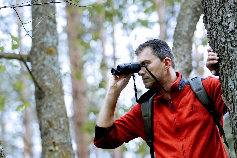 Nachtzieltechnik und Nachtsichttechnik im jagdlichen Einsatz. Was ist erlaubt, was ist verboten? Ein Mann sieht im Wald durch ein YUKON Signal N320RT.