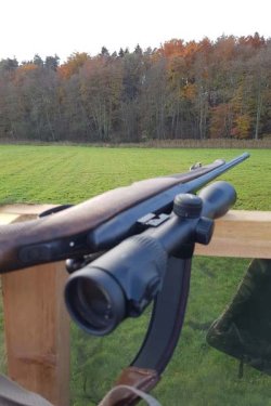 Auf Abstauberjagd mit den Reilmanns Blick aus dem Ansitz zum Waldrand