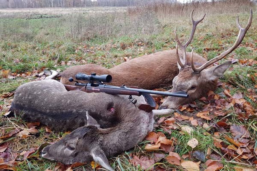 Auf Abstauberjagd mit den Reilmanns Wildstrecke bei der Abstauberjagd