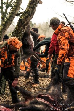 Eigene Drückjagd der Hunter Brothers Aufbrechen von Wild nach der Drückjagd