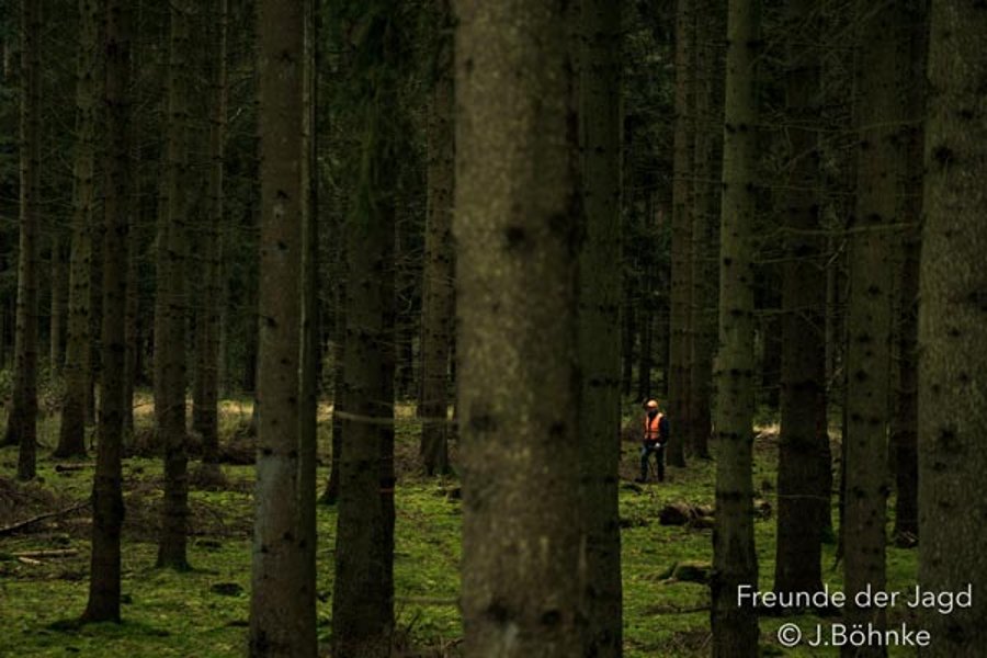 Eigene Drückjagd der Hunter Brothers Treiber bei der Drückjagd