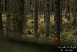 Eigene Drückjagd der Hunter Brothers Schusssektoren bei der Drückjagd
