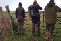 Hunter Brothers: Jagd auf Muntjaks und Wasserrehe in England Pirsch endet am Gatter