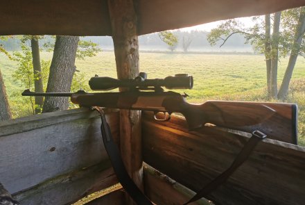 Rotwildbrunft in Polnisch-Pommern – Ein Jagdbericht mit Video Krieghoff Semprio auf einem Hochsitz.