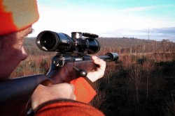 Die Schwarzwild Prognose – wie wirkt sich die Wärmebildtechnik auf die Jagd aus? Das Ziel im Visier
