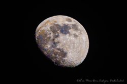 Jungjäger fragen: Macht die Jagd auf Schwarzwild bei Vollmond überhaupt Sinn? Detailansicht des Vollmonds.