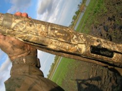 Entenjagd Jagdflinte Benelli M2