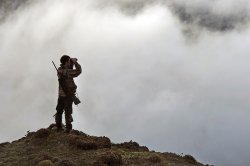 Video: Gamsjagd Jäger im Gebirge bei der Gamsjagd