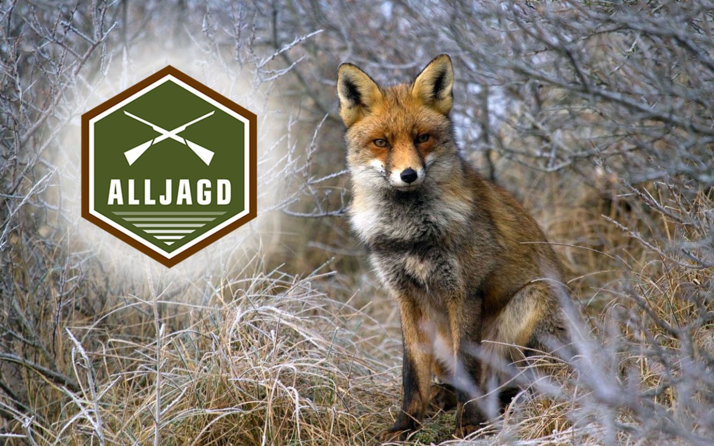 Auf zur Fuchs Lockjagd am Tag mit ALLJAGD! Fuchs Lockjagd mit ALLJAGD