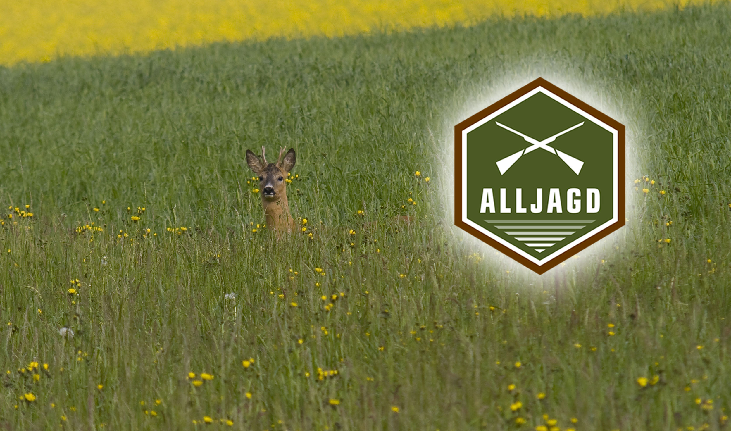 alljagd: ALLJAGD: jagdliche Produkte für den Sommer 2017 im Angebot