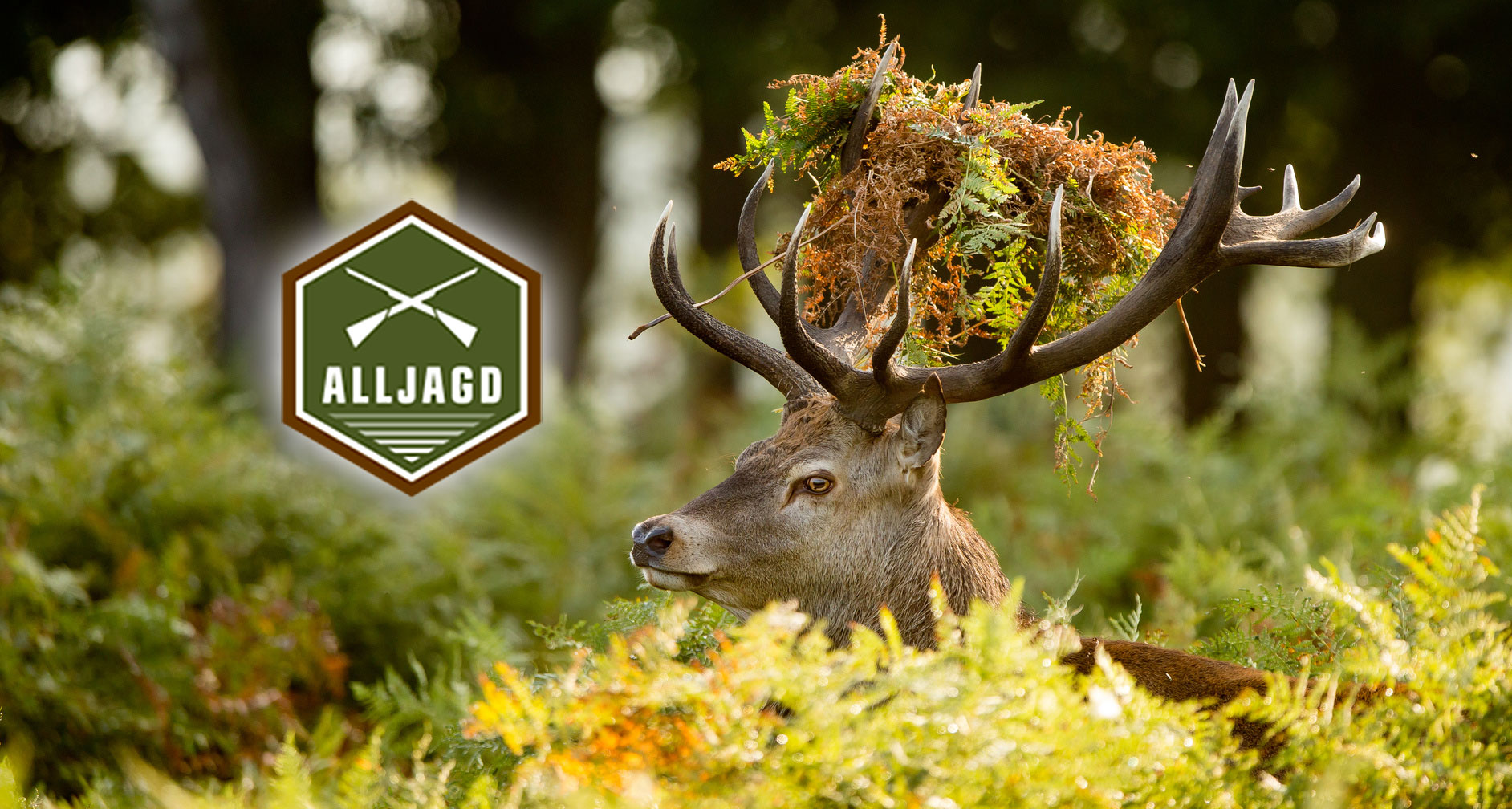 alljagd: ALLJAGD: neue Produkte im Winter 2016/2017
